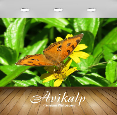 

Avikalp Nature Wallpaper(60.96 cm X 91.44 cm)