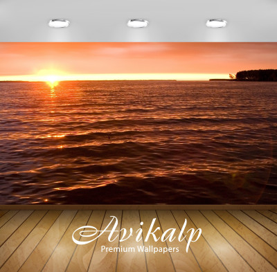 

Avikalp Nature Wallpaper(60.96 cm X 91.44 cm)