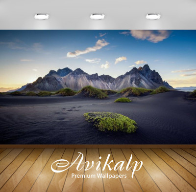

Avikalp Nature Wallpaper(60.96 cm X 91.44 cm)