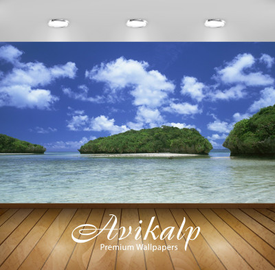 

Avikalp Nature Wallpaper(60.96 cm X 91.44 cm)