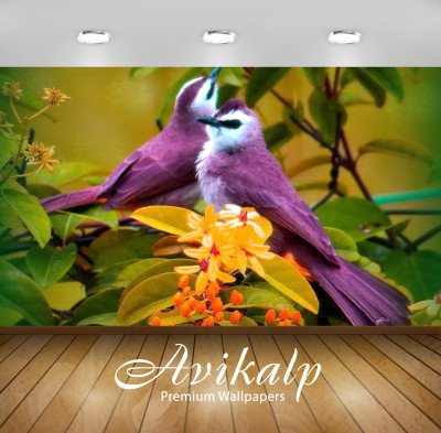 

Avikalp Nature Wallpaper(60.96 cm X 91.44 cm)