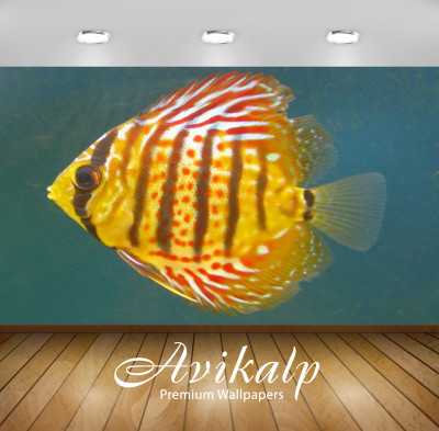 

Avikalp Nature Wallpaper(60.96 cm X 91.44 cm)