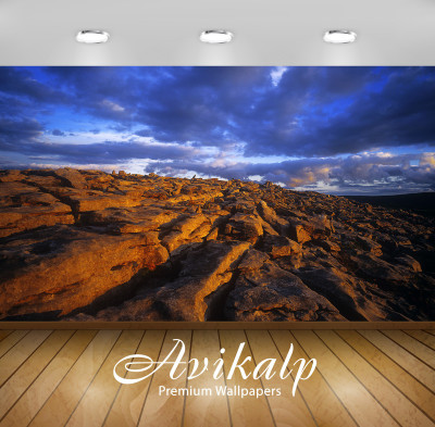 

Avikalp Nature Wallpaper(60.96 cm X 91.44 cm)