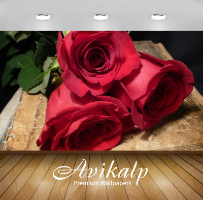 

Avikalp Nature Wallpaper(60.96 cm X 91.44 cm)