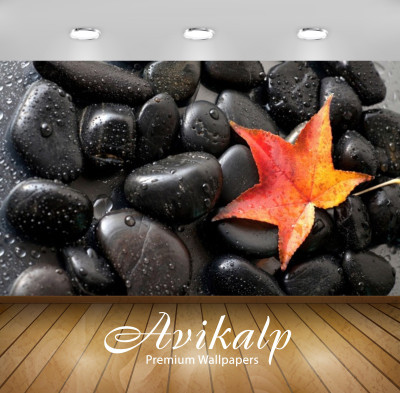 

Avikalp Nature Wallpaper(60.96 cm X 91.44 cm)