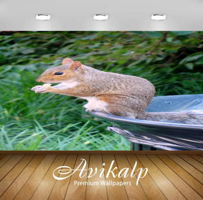 

Avikalp Nature Wallpaper(60.96 cm X 91.44 cm)