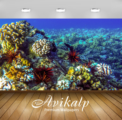 

Avikalp Nature Wallpaper(60.96 cm X 91.44 cm)