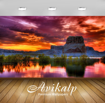 

Avikalp Nature Wallpaper(60.96 cm X 91.44 cm)
