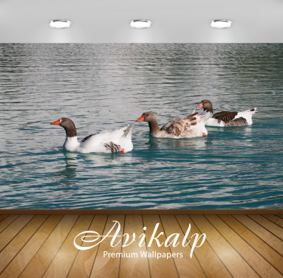 

Avikalp Nature Wallpaper(60.96 cm X 91.44 cm)