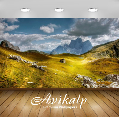 

Avikalp Nature Wallpaper(60.96 cm X 91.44 cm)