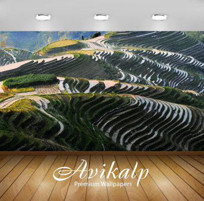 

Avikalp Nature Wallpaper(60.96 cm X 91.44 cm)