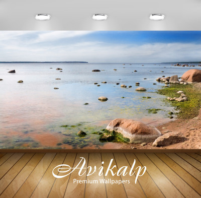 

Avikalp Nature Wallpaper(60.96 cm X 91.44 cm)