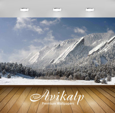 

Avikalp Nature Wallpaper(60.96 cm X 91.44 cm)
