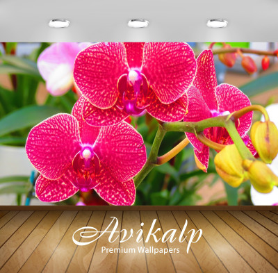 

Avikalp Nature Wallpaper(60.96 cm X 91.44 cm)