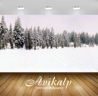 

Avikalp Nature Wallpaper(60.96 cm X 91.44 cm)