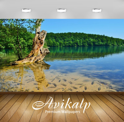 

Avikalp Nature Wallpaper(60.96 cm X 91.44 cm)