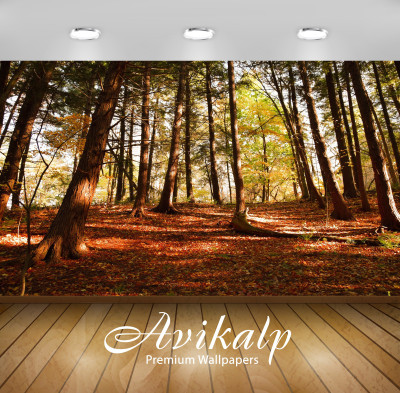 

Avikalp Nature Wallpaper(60.96 cm X 91.44 cm)