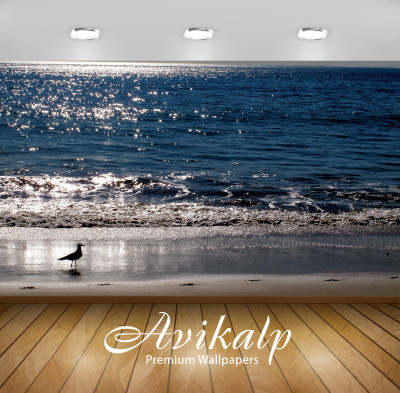 

Avikalp Nature Wallpaper(60.96 cm X 91.44 cm)
