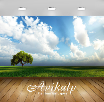 

Avikalp Nature Wallpaper(60.96 cm X 91.44 cm)