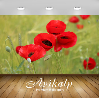 

Avikalp Nature Wallpaper(60.96 cm X 91.44 cm)