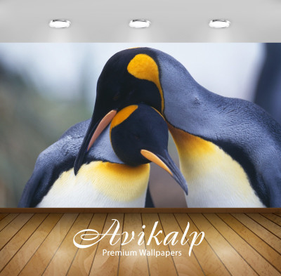 

Avikalp Nature Wallpaper(60.96 cm X 91.44 cm)