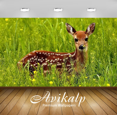 

Avikalp Nature Wallpaper(60.96 cm X 91.44 cm)