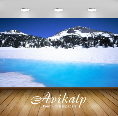 

Avikalp Nature Wallpaper(60.96 cm X 91.44 cm)