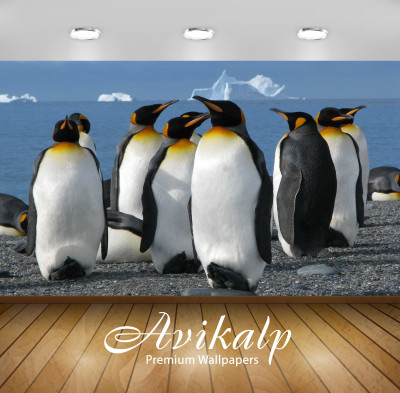 

Avikalp Nature Wallpaper(60.96 cm X 91.44 cm)