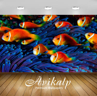 

Avikalp Nature Wallpaper(60.96 cm X 91.44 cm)