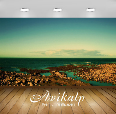 

Avikalp Nature Wallpaper(60.96 cm X 91.44 cm)