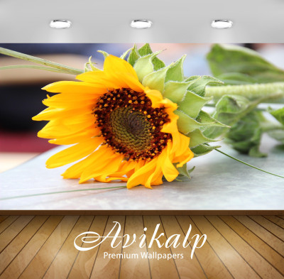 Avikalp Nature Wallpaper(60.96 cm X 91.44 cm)