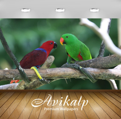 

Avikalp Nature Wallpaper(60.96 cm X 91.44 cm)