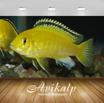Avikalp Nature Wallpaper(60.96 cm X 91.44 cm)