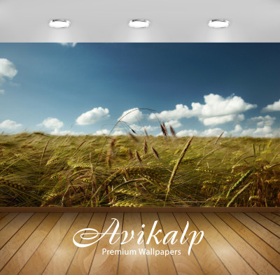 

Avikalp Nature Wallpaper(60.96 cm X 91.44 cm)