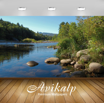 

Avikalp Nature Wallpaper(60.96 cm X 91.44 cm)