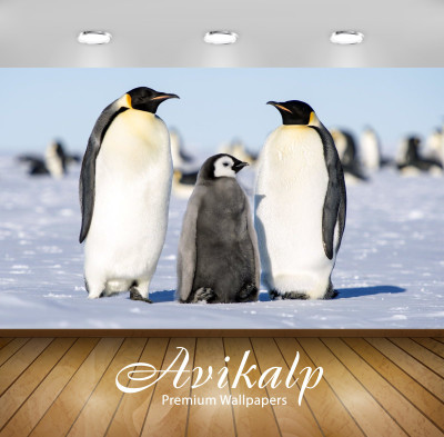 

Avikalp Nature Wallpaper(60.96 cm X 91.44 cm)