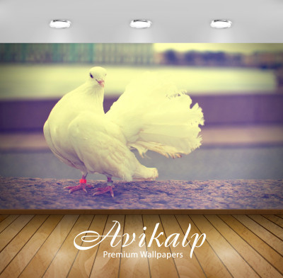 

Avikalp Nature Wallpaper(60.96 cm X 91.44 cm)