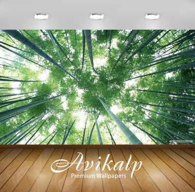 

Avikalp Nature Wallpaper(60.96 cm X 91.44 cm)