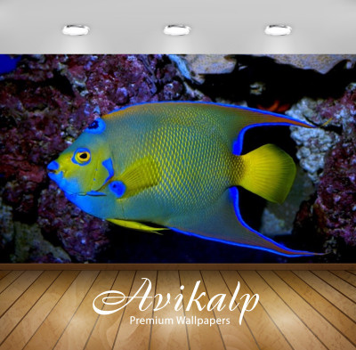 

Avikalp Nature Wallpaper(60.96 cm X 91.44 cm)