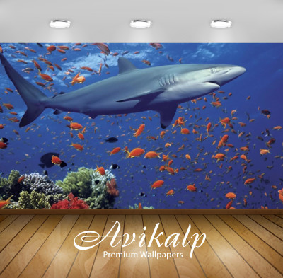 

Avikalp Nature Wallpaper(60.96 cm X 91.44 cm)