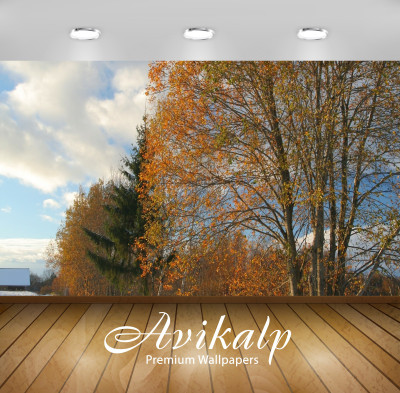 

Avikalp Nature Wallpaper(60.96 cm X 91.44 cm)