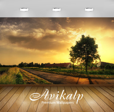 

Avikalp Nature Wallpaper(60.96 cm X 91.44 cm)