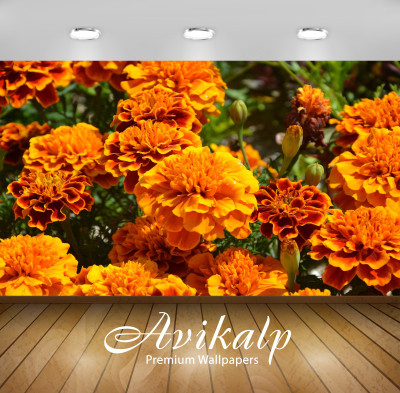 

Avikalp Floral & Botanical Wallpaper(60.96 cm X 91.44 cm)