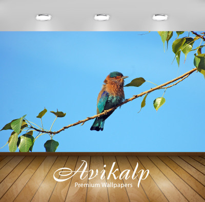

Avikalp Nature Wallpaper(60.96 cm X 91.44 cm)