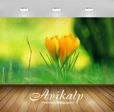 

Avikalp Nature Wallpaper(60.96 cm X 91.44 cm)