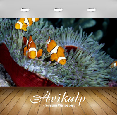 

Avikalp Nature Wallpaper(60.96 cm X 91.44 cm)