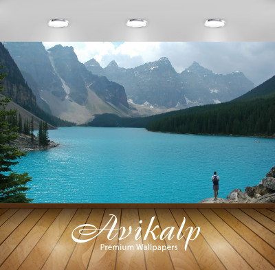 

Avikalp Nature Wallpaper(60.96 cm X 91.44 cm)