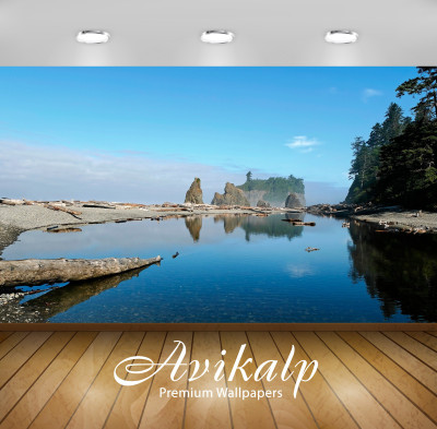 

Avikalp Nature Wallpaper(60.96 cm X 91.44 cm)