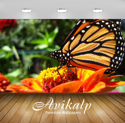 

Avikalp Nature Wallpaper(60.96 cm X 91.44 cm)