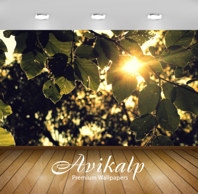 

Avikalp Nature Wallpaper(60.96 cm X 91.44 cm)